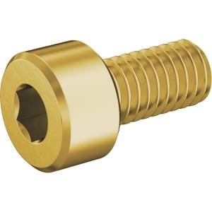 Brass Socket Head Screw M4 x 0.70 mm Thread size, 8 mm Long图3
